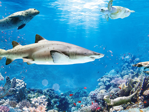 做足准备，大步出发